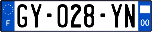 GY-028-YN