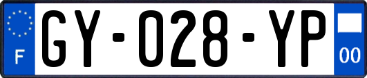 GY-028-YP