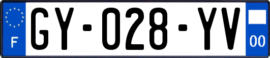 GY-028-YV
