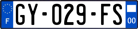 GY-029-FS