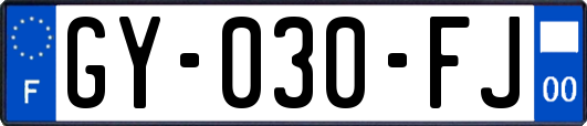 GY-030-FJ