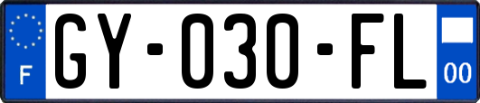 GY-030-FL