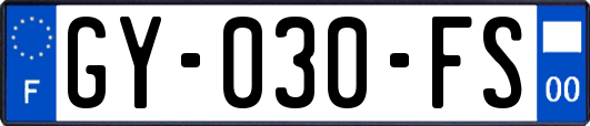 GY-030-FS