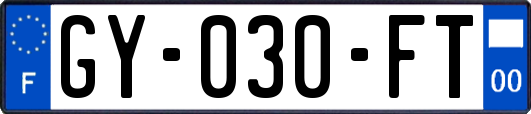 GY-030-FT