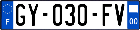GY-030-FV