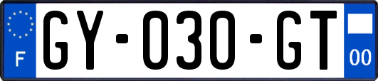 GY-030-GT
