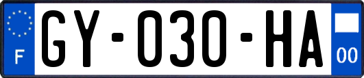 GY-030-HA