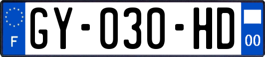 GY-030-HD