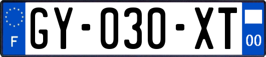 GY-030-XT