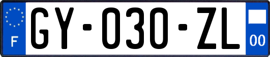GY-030-ZL
