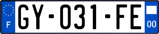 GY-031-FE