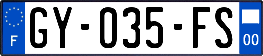 GY-035-FS