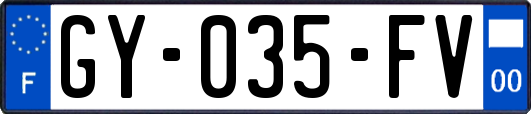 GY-035-FV