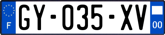 GY-035-XV