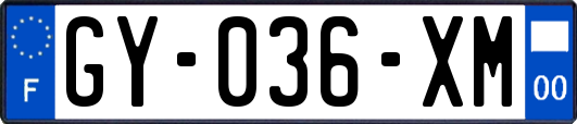 GY-036-XM