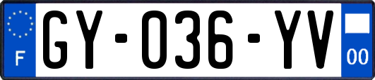 GY-036-YV