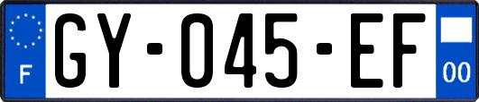 GY-045-EF
