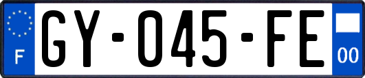 GY-045-FE