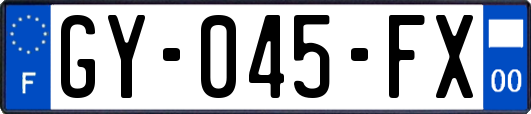 GY-045-FX