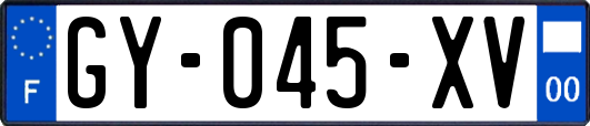 GY-045-XV