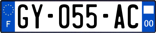 GY-055-AC