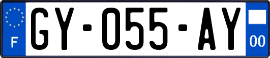 GY-055-AY