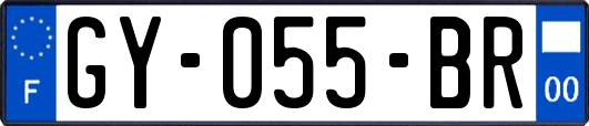 GY-055-BR