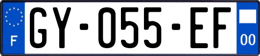GY-055-EF