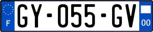GY-055-GV