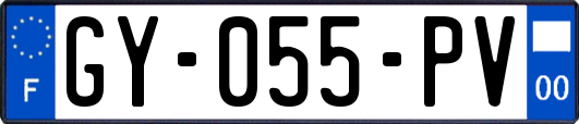 GY-055-PV
