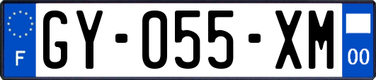 GY-055-XM