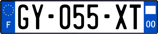 GY-055-XT