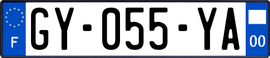 GY-055-YA
