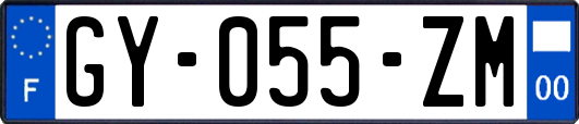 GY-055-ZM