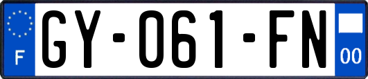 GY-061-FN
