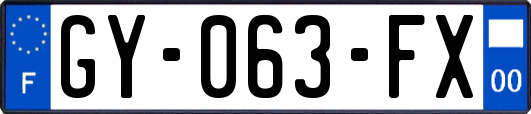 GY-063-FX