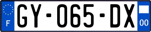 GY-065-DX