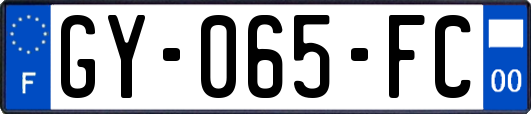 GY-065-FC