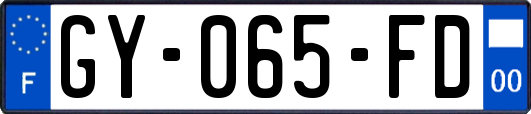 GY-065-FD