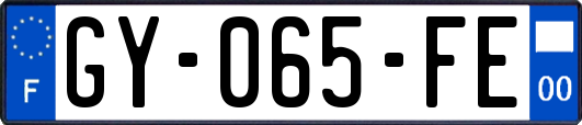 GY-065-FE