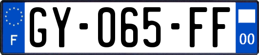 GY-065-FF
