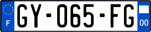 GY-065-FG