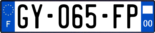 GY-065-FP