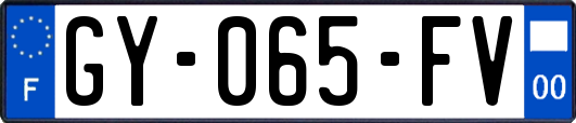 GY-065-FV