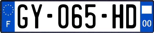 GY-065-HD