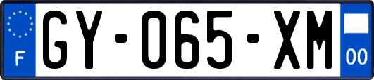 GY-065-XM