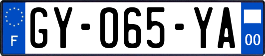 GY-065-YA