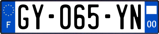 GY-065-YN