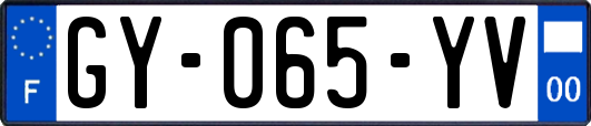 GY-065-YV