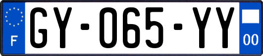 GY-065-YY